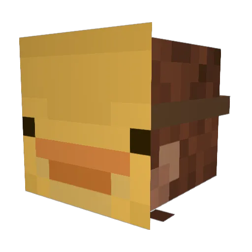 ZenithDuck Minecraft avatar head, 3D render