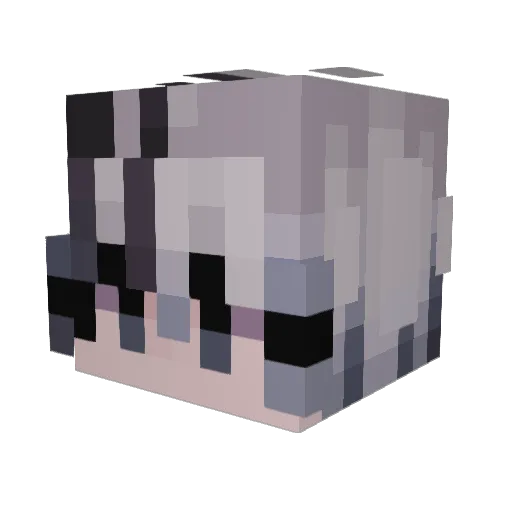 ZenithKaiden Minecraft avatar head, 3D render