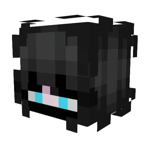 ZenithNinja Minecraft avatar head, 3D render