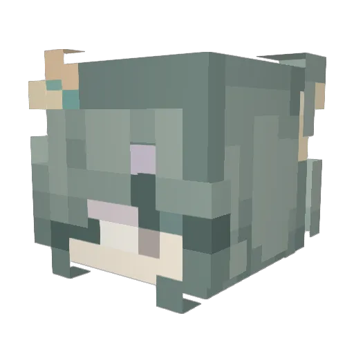 ZenithTP Minecraft avatar head, 3D render