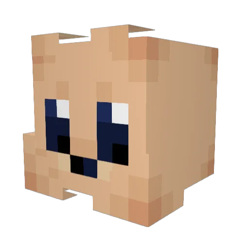 Zenith_00101 Minecraft avatar head, 3D render