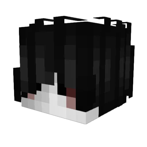 Zenithfull Minecraft avatar head, 3D render