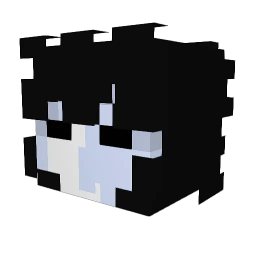 ZenixCC_ Minecraft avatar head, 3D render