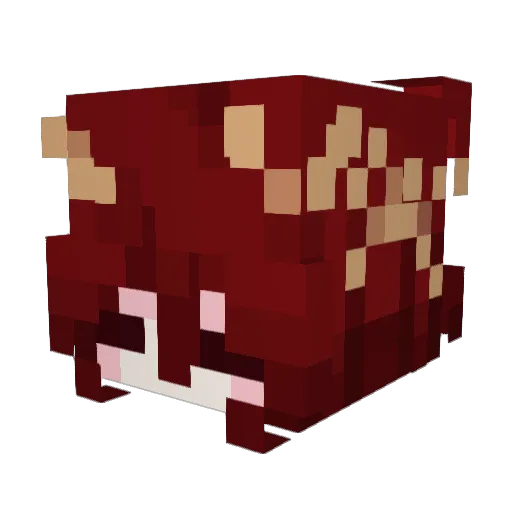 Zenkioji Minecraft avatar head, 3D render