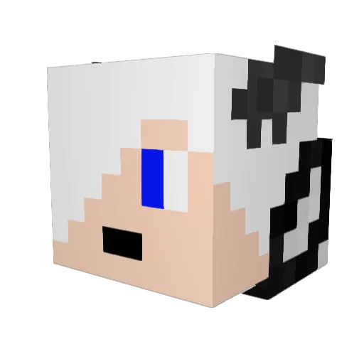 Zenkursio Minecraft avatar head, 3D render