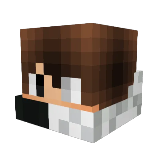 Zenkx Minecraft avatar head, 3D render