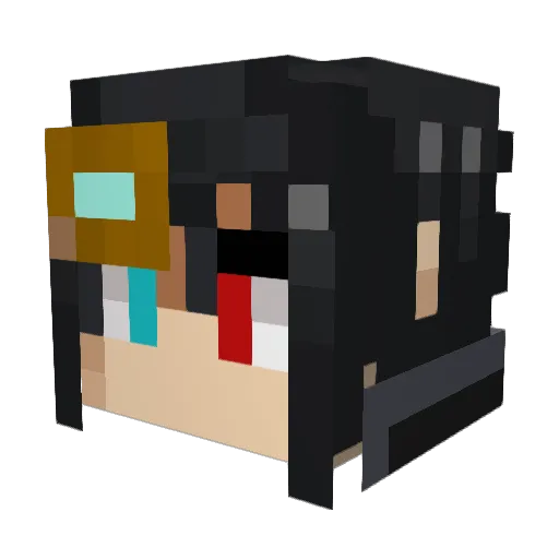 Zenmaster20 Minecraft avatar head, 3D render
