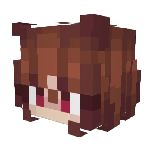 ZenoTruco Minecraft avatar head, 3D render