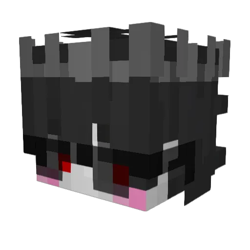 Zenolek007 Minecraft avatar head, 3D render