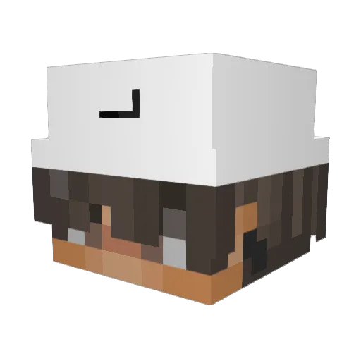 Zenomtxt Minecraft avatar head, 3D render