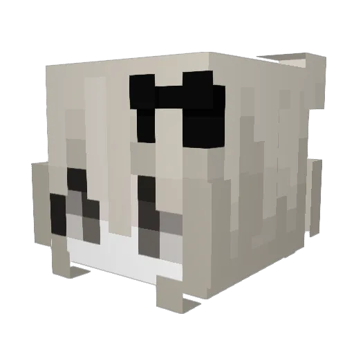 Zenoric_ Minecraft avatar head, 3D render