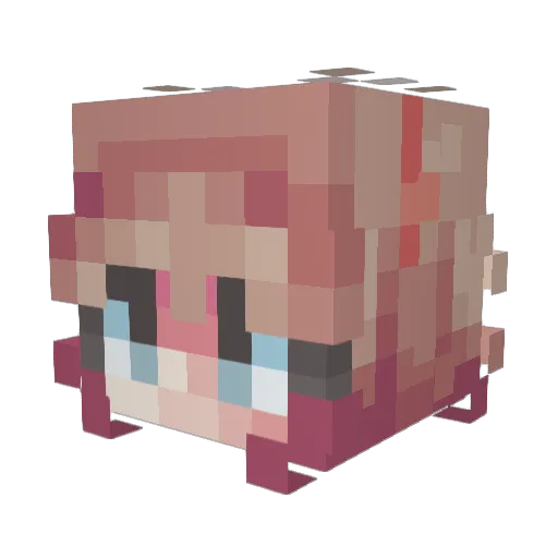 Zensen_6 Minecraft avatar head, 3D render