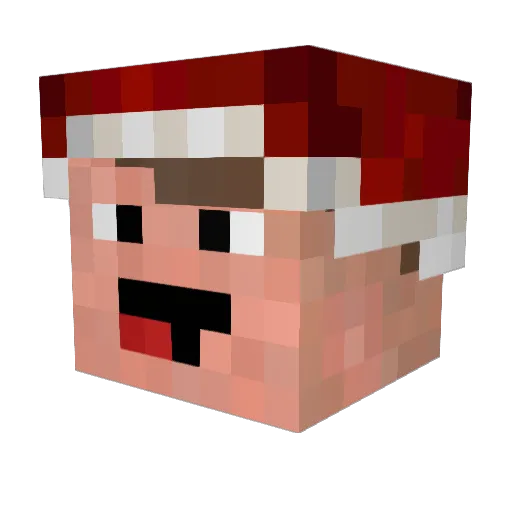 Zentartus Minecraft avatar head, 3D render