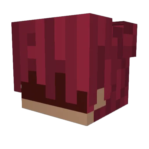 Zenthiq Minecraft avatar head, 3D render