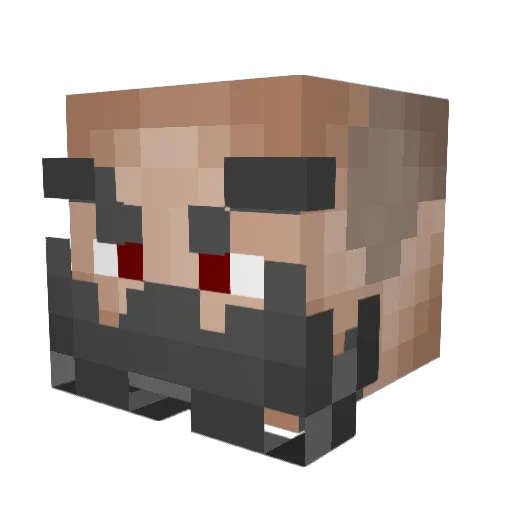Zentornen Minecraft avatar head, 3D render