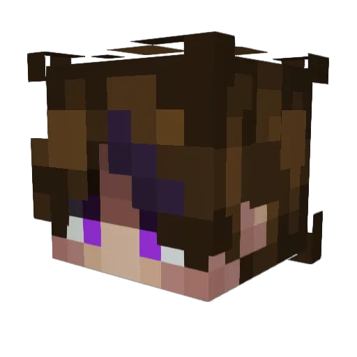 Zenxiety Minecraft avatar head, 3D render