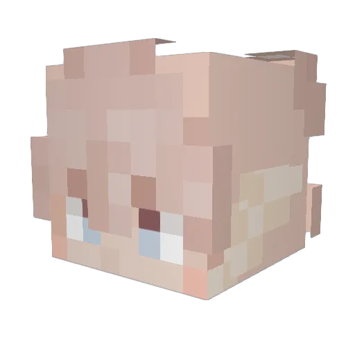 Zenzine19 Minecraft avatar head, 3D render