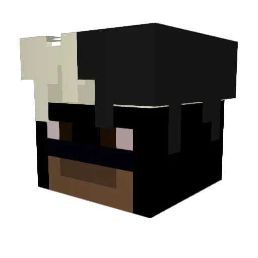 ZeoZoul Minecraft avatar head, 3D render