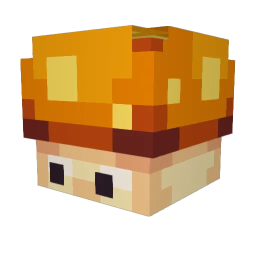 Zeofy Minecraft avatar head, 3D render