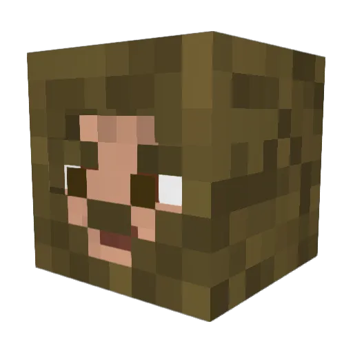 Zeoka_RJ Minecraft avatar head, 3D render
