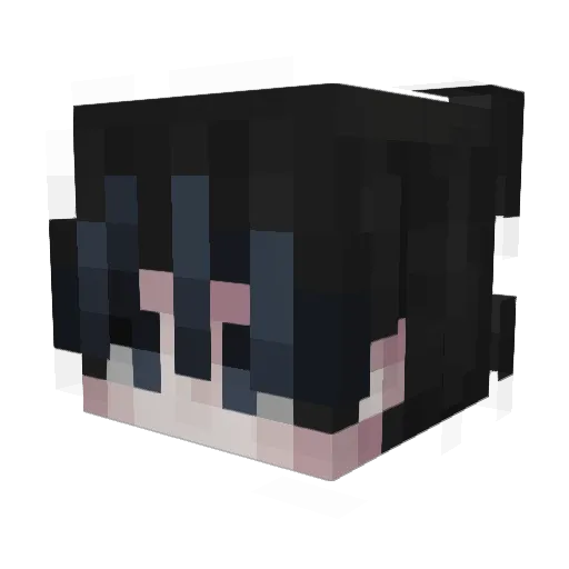 Zeoless_ Minecraft avatar head, 3D render