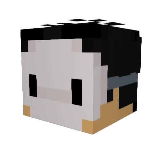 Zeon187 Minecraft avatar head, 3D render