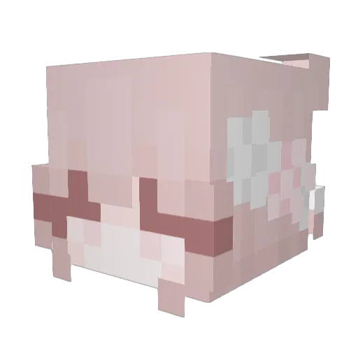 ZeoticWolf Minecraft avatar head, 3D render