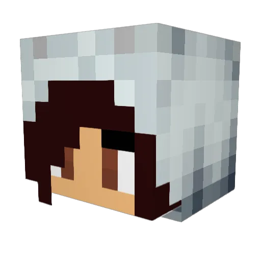 ZepZeta Minecraft avatar head, 3D render