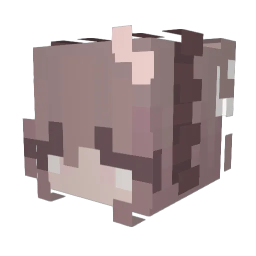 Zeph8r Minecraft avatar head, 3D render
