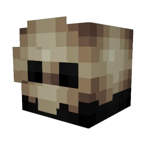 Zepharu5 Minecraft avatar head, 3D render