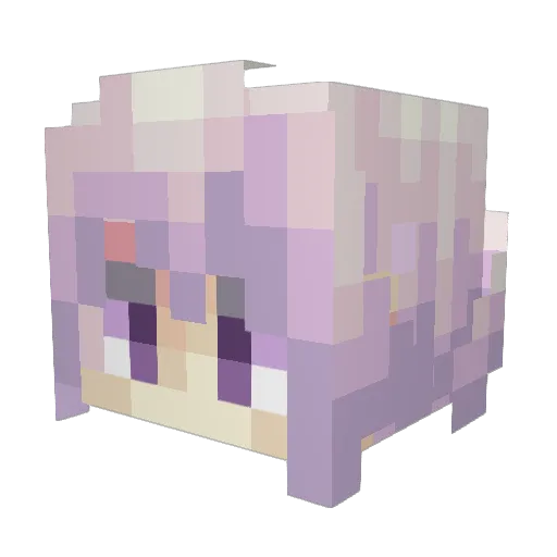 Zephiro0024 Minecraft avatar head, 3D render