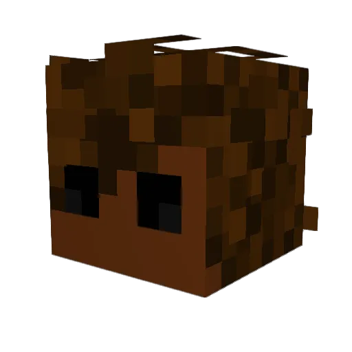 ZephronJAYJAY Minecraft avatar head, 3D render