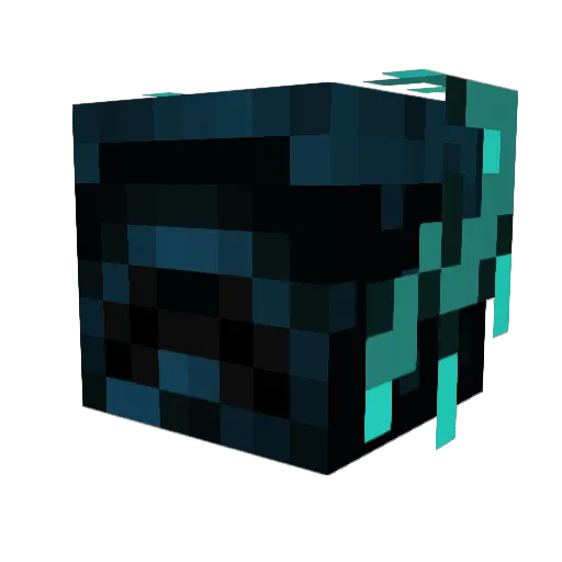 Zephryhills_ Minecraft avatar head, 3D render