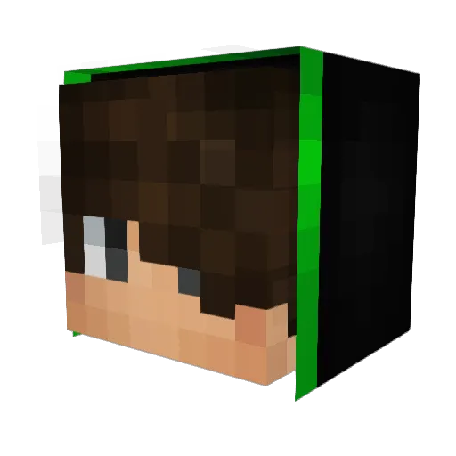 Zephx1907 Minecraft avatar head, 3D render
