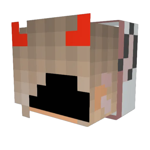 Zephyiie Minecraft avatar head, 3D render