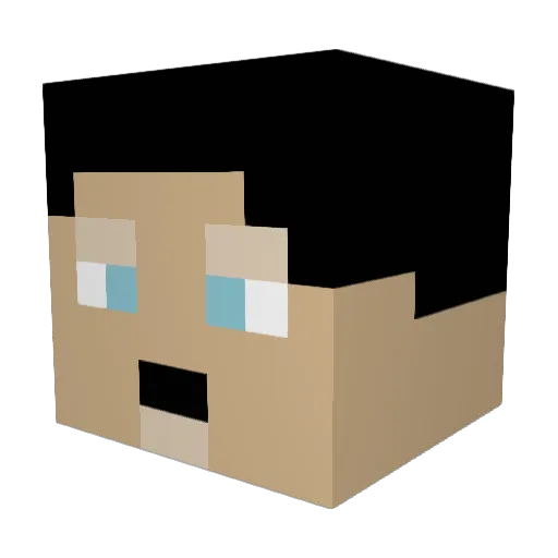 Zephyr0508 Minecraft avatar head, 3D render