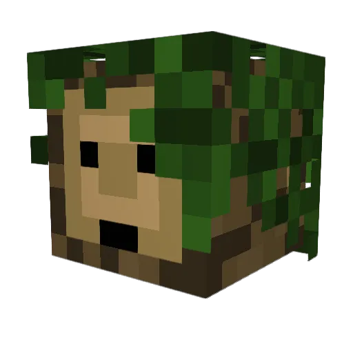 Zephyr1112 Minecraft avatar head, 3D render