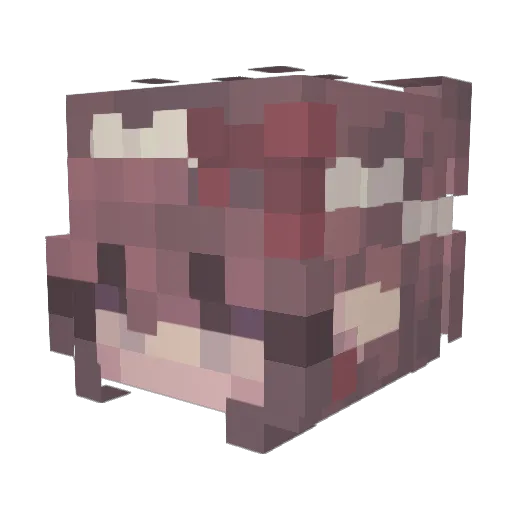 Zephyr_Haddock Minecraft avatar head, 3D render