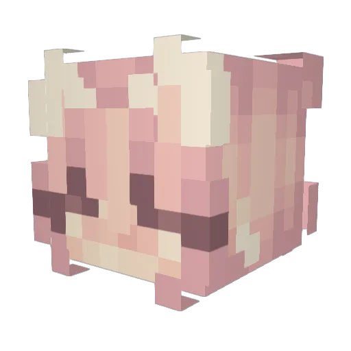 ZephyraCat Minecraft avatar head, 3D render