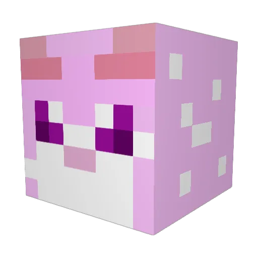 Zephyraebi Minecraft avatar head, 3D render