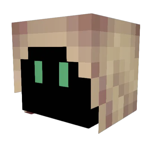 Zephyriaz Minecraft avatar head, 3D render