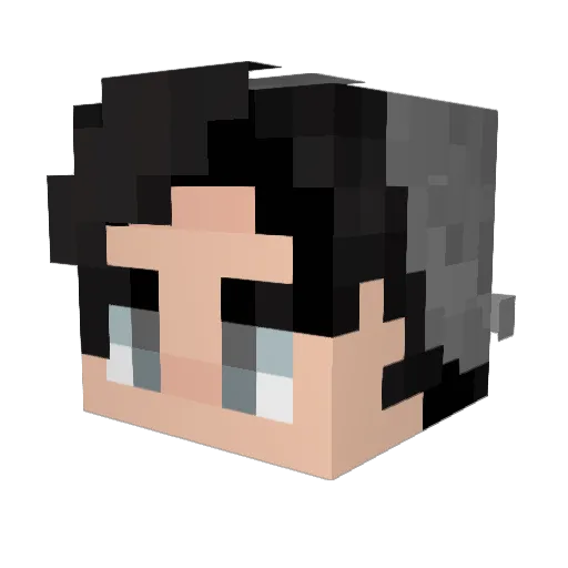 Zephyrus_9847 Minecraft avatar head, 3D render
