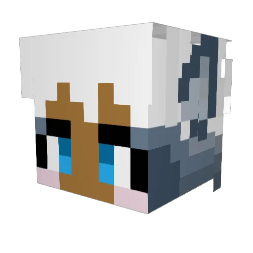 Zephywater Minecraft avatar head, 3D render