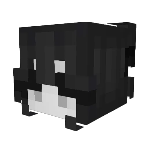 Zeplyyx Minecraft avatar head, 3D render