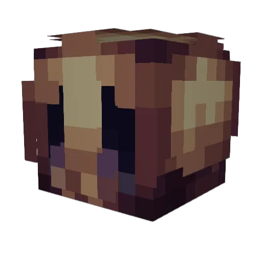 Zeppelin_ Minecraft avatar head, 3D render