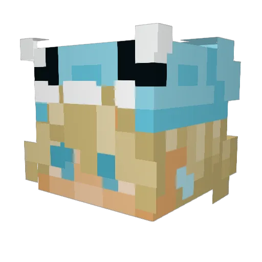 Zepper996 Minecraft avatar head, 3D render