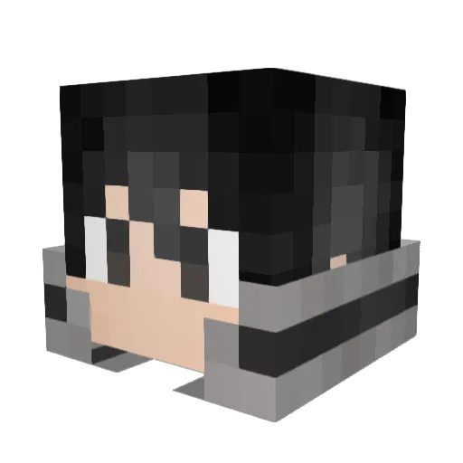 Zepreme Minecraft avatar head, 3D render
