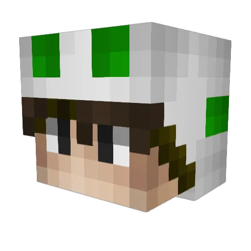 Zeqqah Minecraft avatar head, 3D render