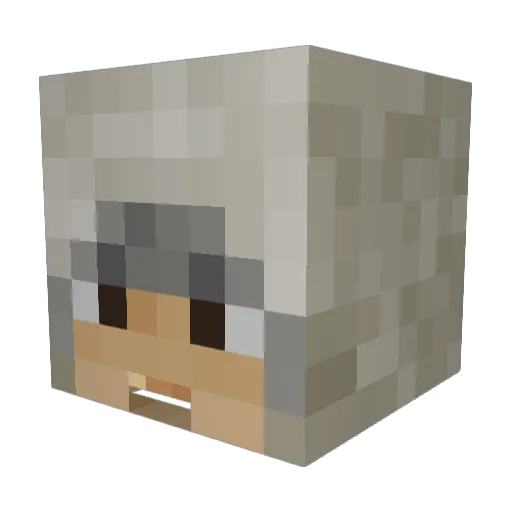 Zer0419 Minecraft avatar head, 3D render