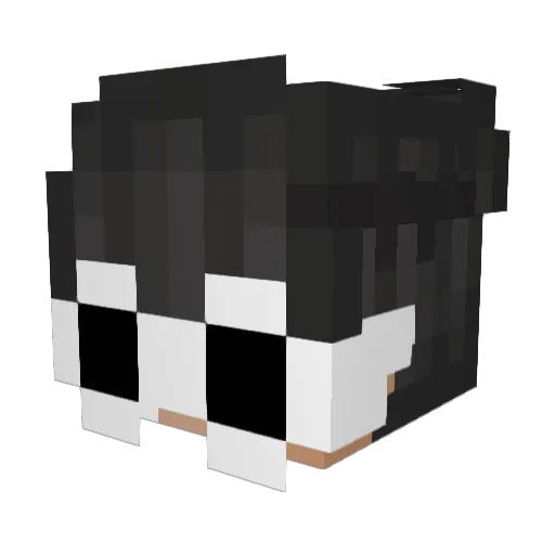 Zer0Physics Minecraft avatar head, 3D render